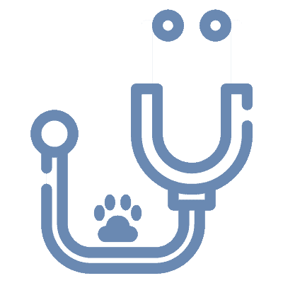 Specialty services Specialty Services