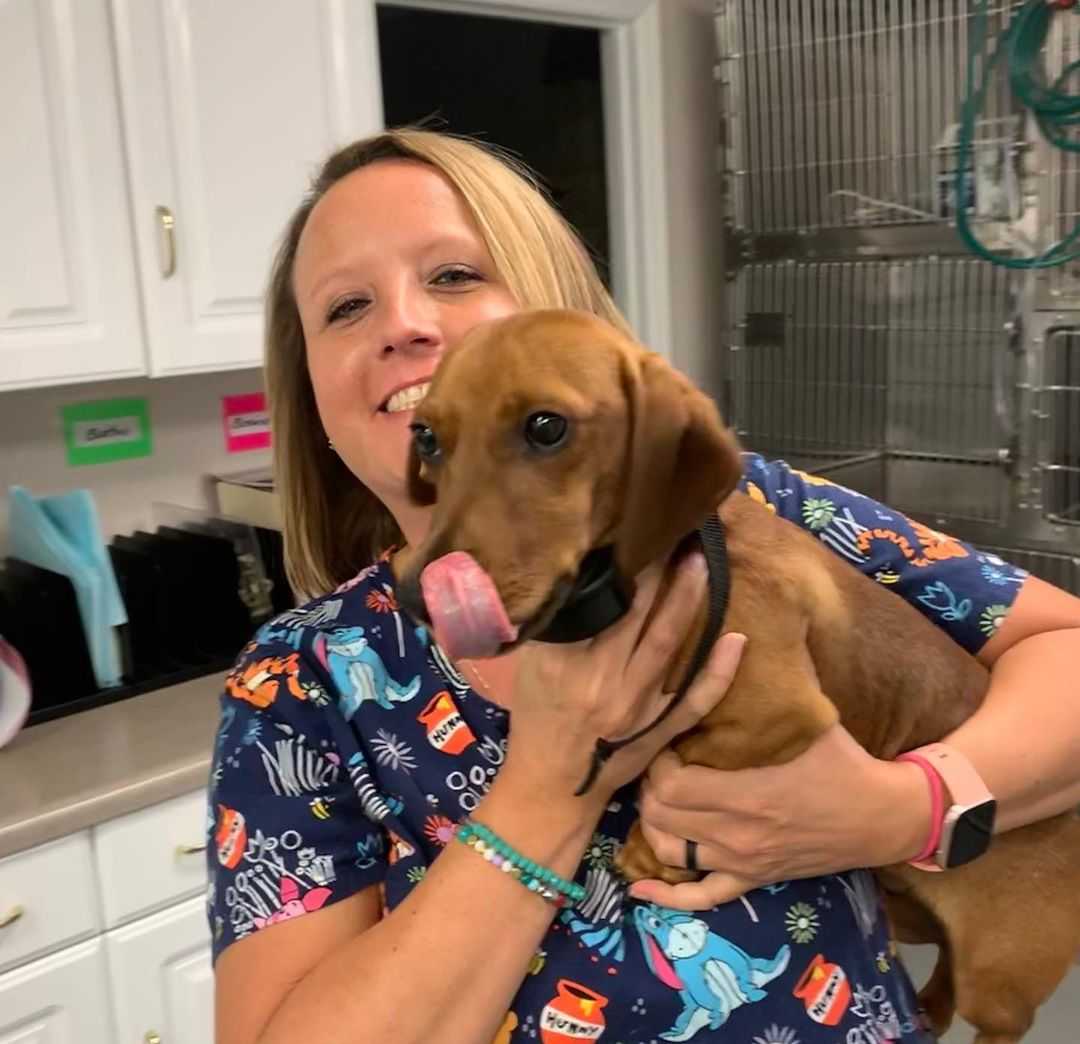 A canine patient with our veterinary technician